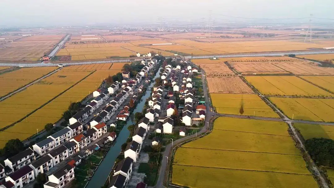 村庄与共建的真实场景