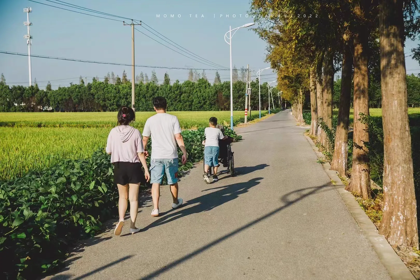 张马村的居住日常