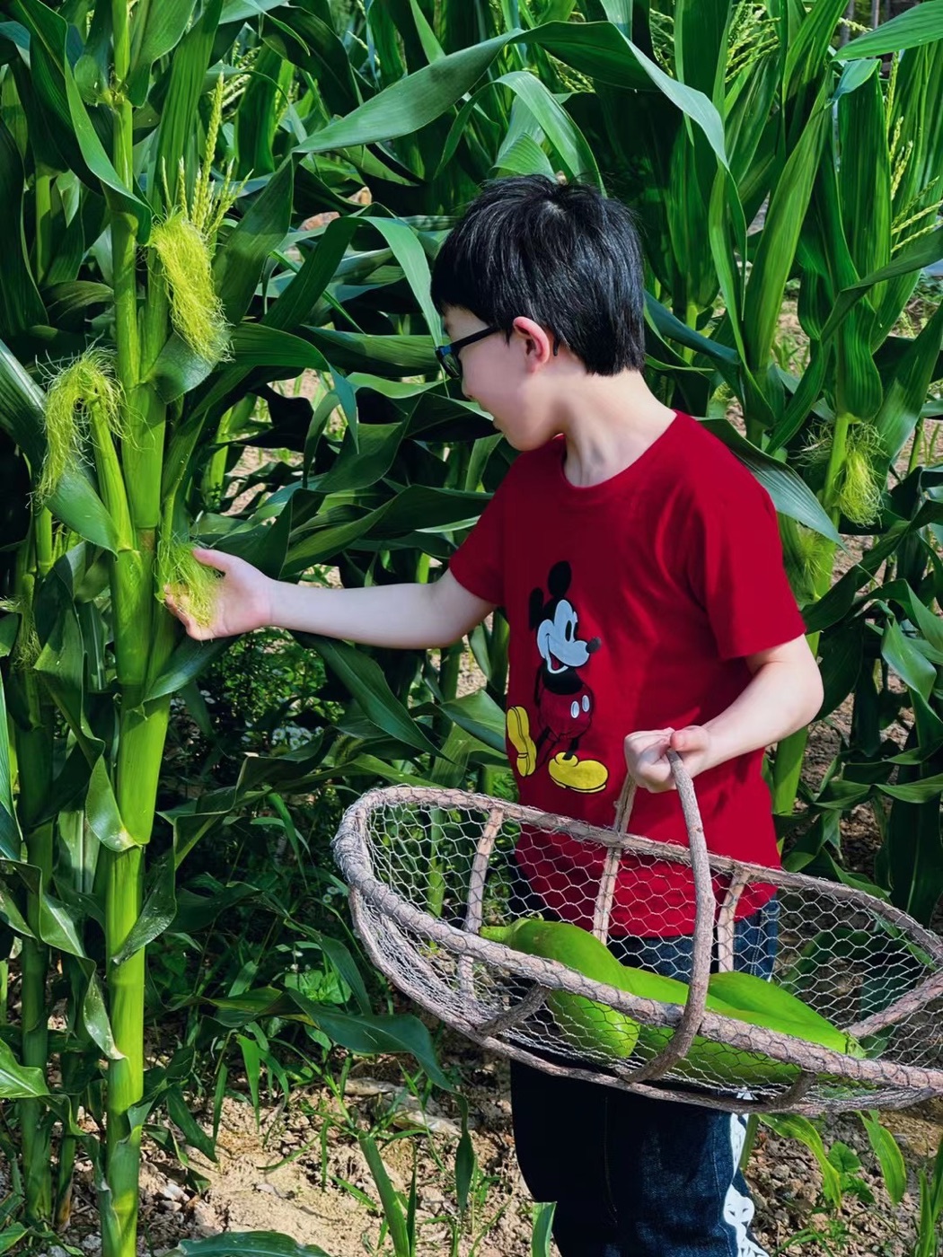 鸿田暑期自然成长营
