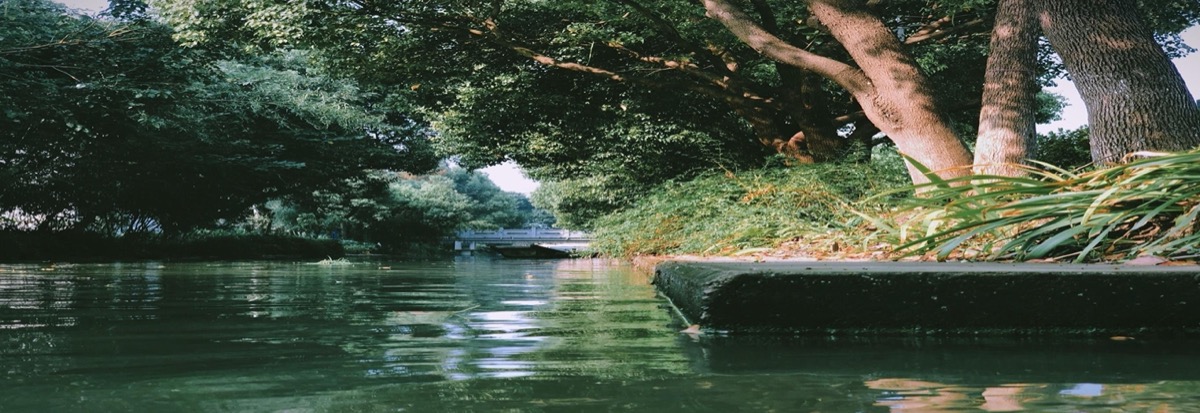 张马村生态河道